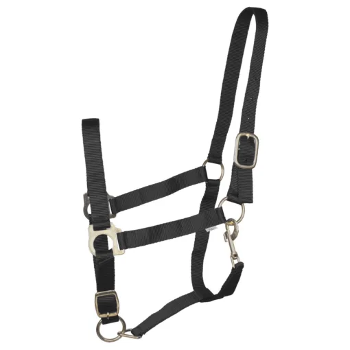 Halsters Budget Rider Basic II halster zwart