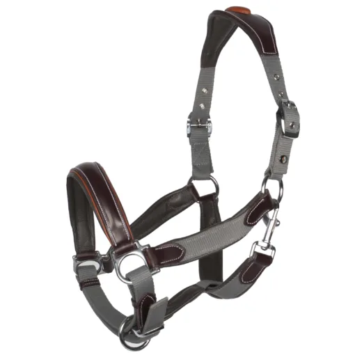 Halsters Arturo Florence halster grijs