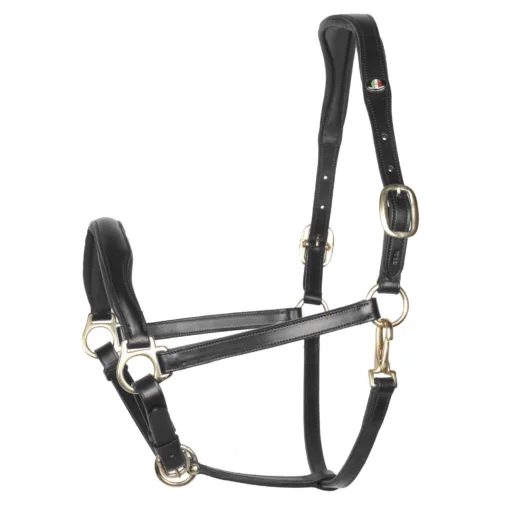 Halsters Arturo Pescara halster zwart